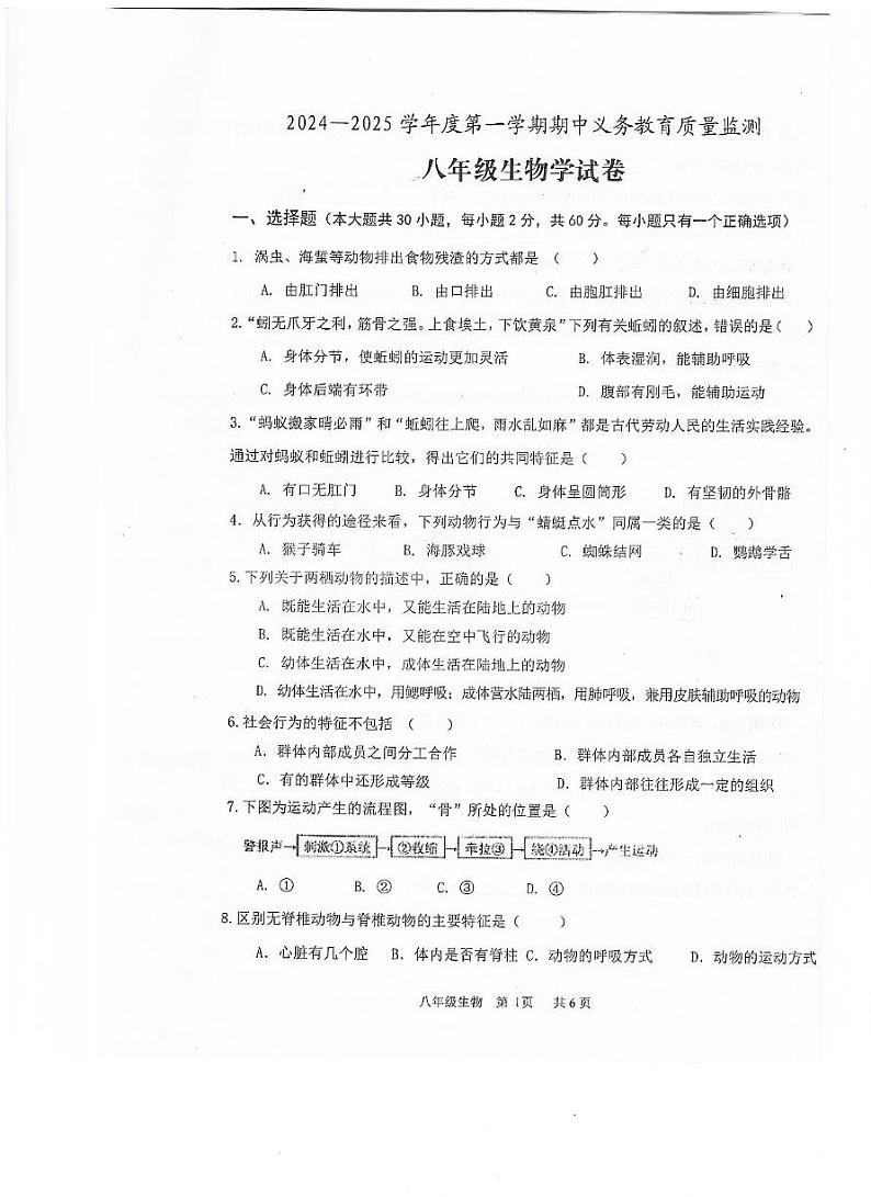广东省恩平市2024-2025学年八年级上学期期中考试生物试卷第1页