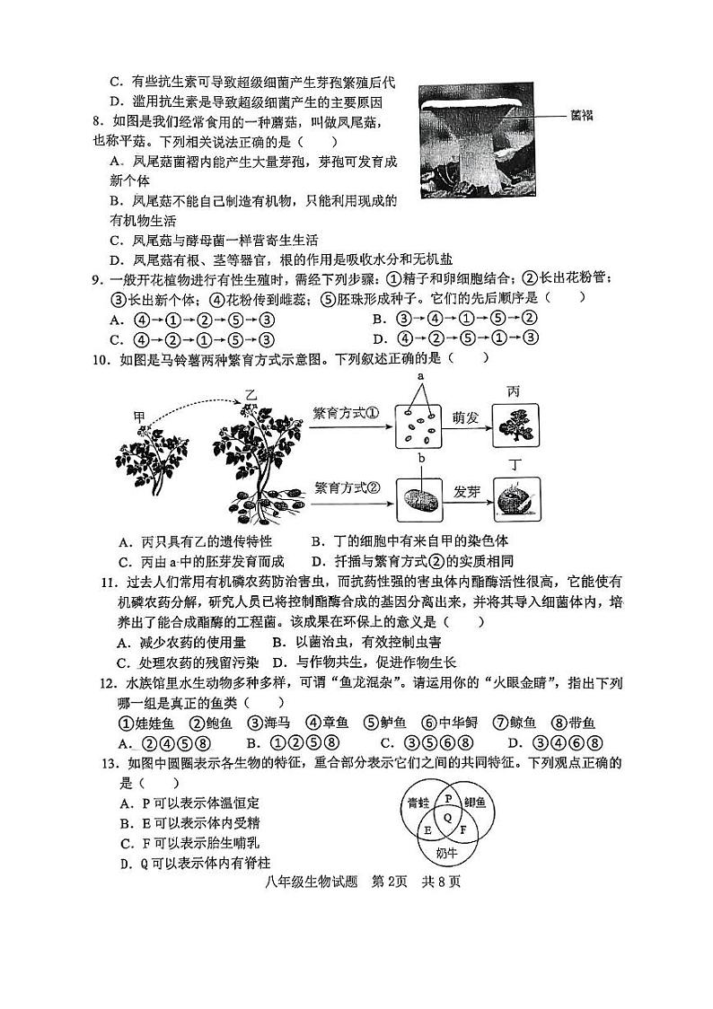 山东省日照港中学2024-2025学年八年级上学期生物期中试题第2页