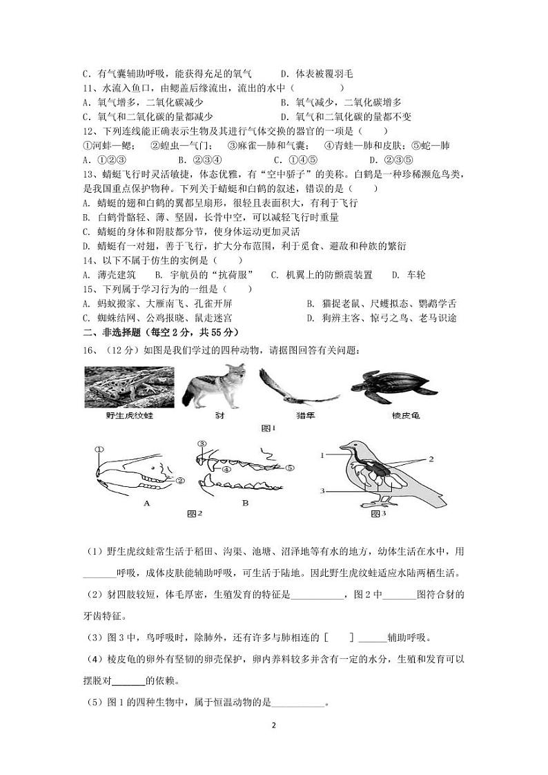 四川省南部中学2024-2025学年八年级上学期11月期中生物试题02