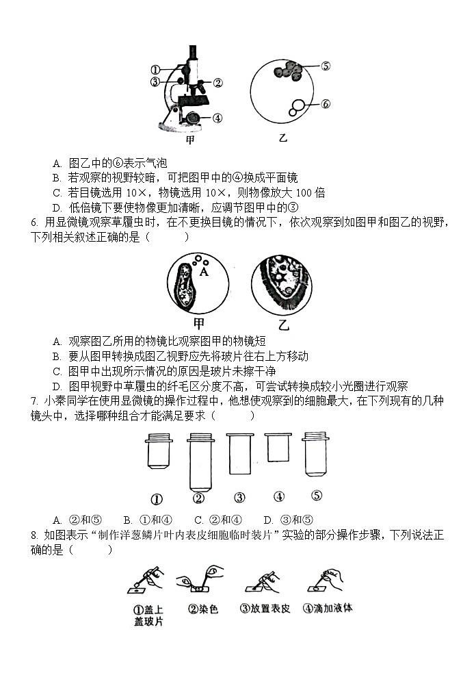 山东省菏泽市单县2024-2025学年七年级上学期11月期中生物试题文字版第2页
