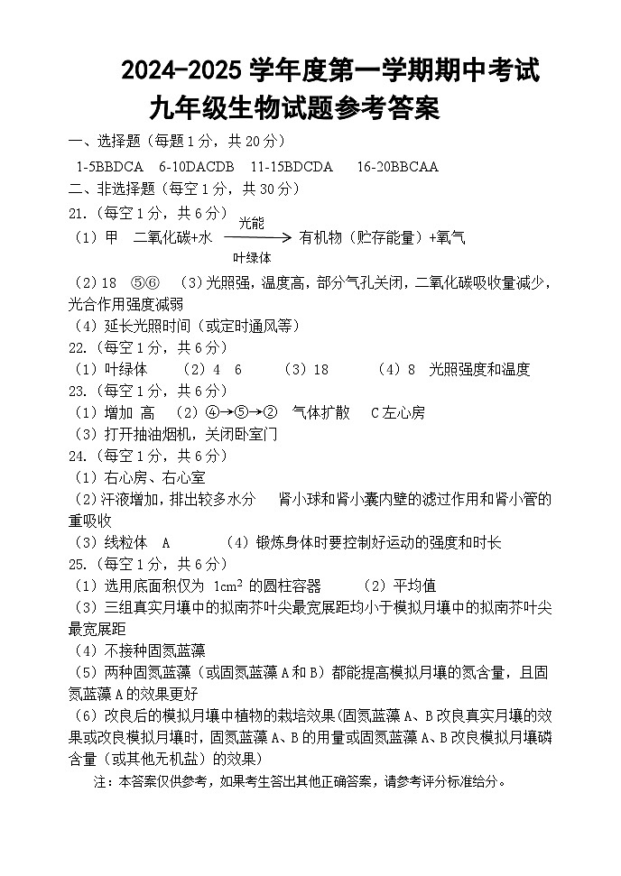 山东省菏泽市单县2024-2025学年九年级上学期11月期中生物试题01