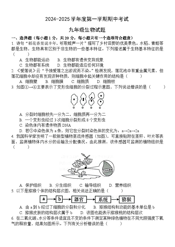 山东省菏泽市单县2024-2025学年九年级上学期11月期中生物试题01