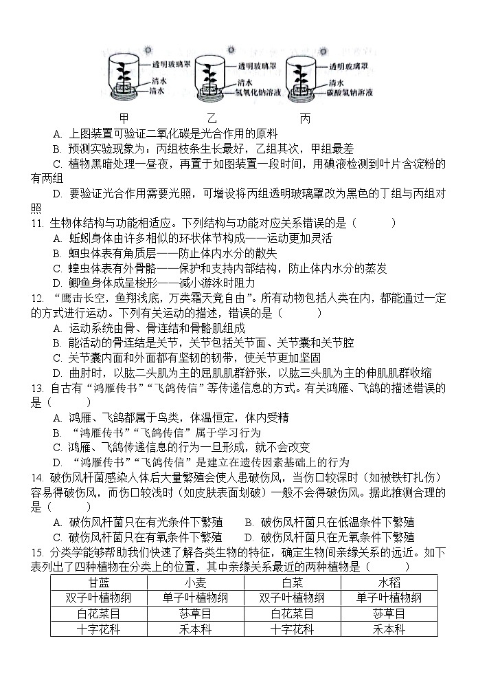 山东省菏泽市单县2024-2025学年九年级上学期11月期中生物试题03