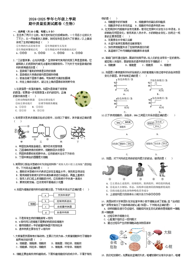 2024七年级生物半期考试试题第1页