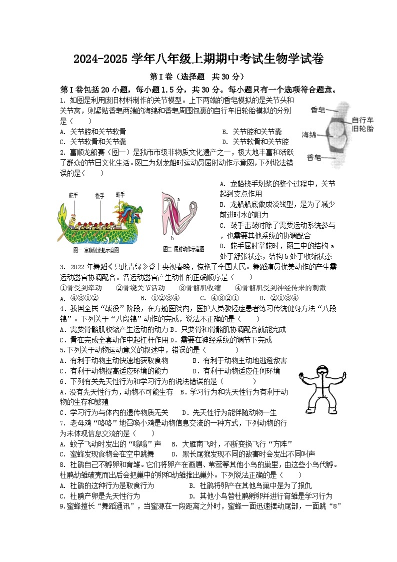 四川省自贡市第三十四中学校2024-2025学年八年级上学期11月期中生物试题01