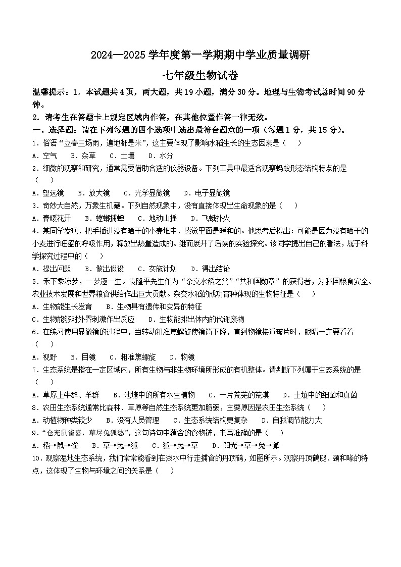 江苏省连云港市海州区2024—2025学年七年级上学期期中生物试题第1页