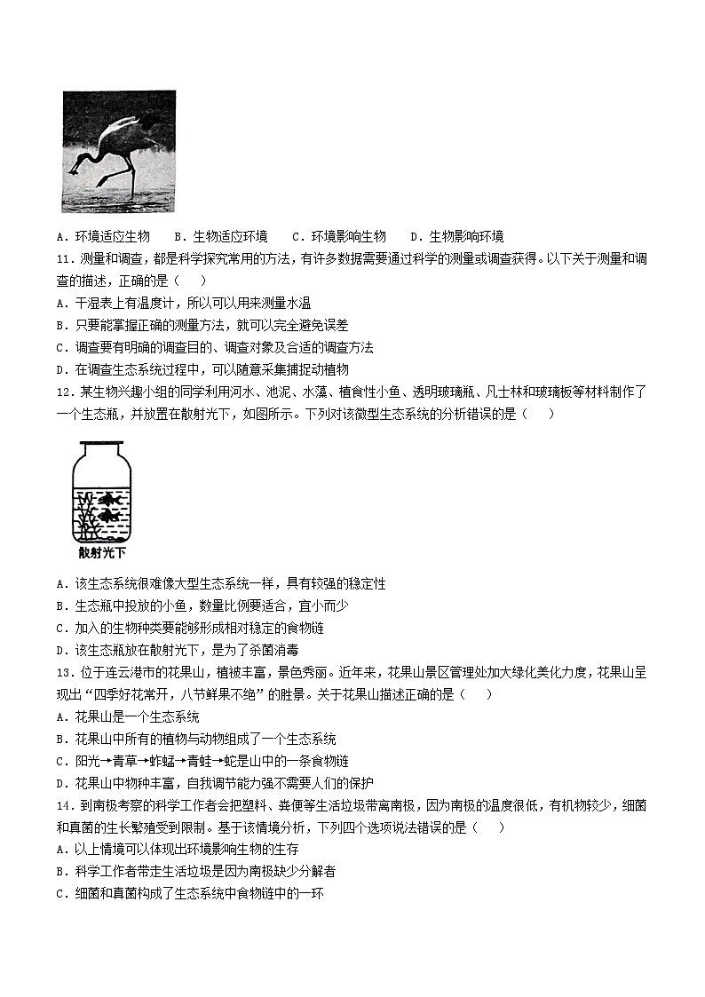江苏省连云港市海州区2024—2025学年七年级上学期期中生物试题第2页