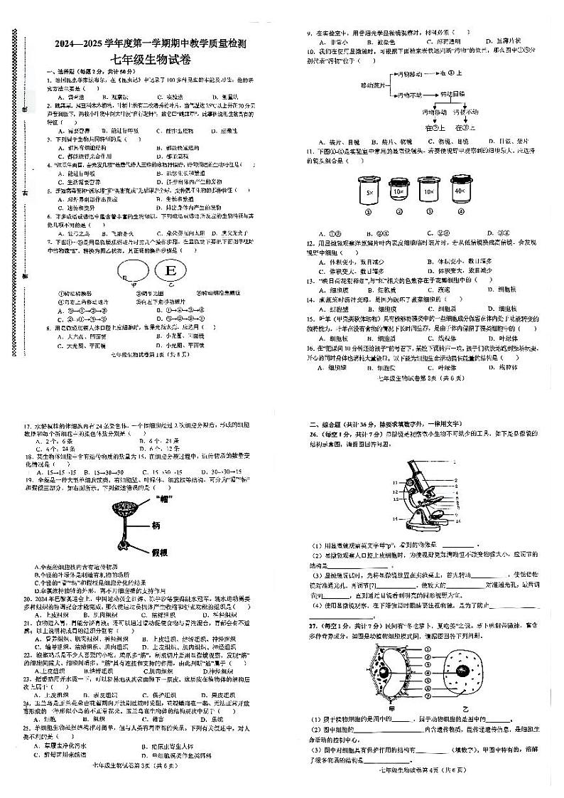 河北省邯郸市魏县2024-2025学年七年级上学期期中生物试卷第1页