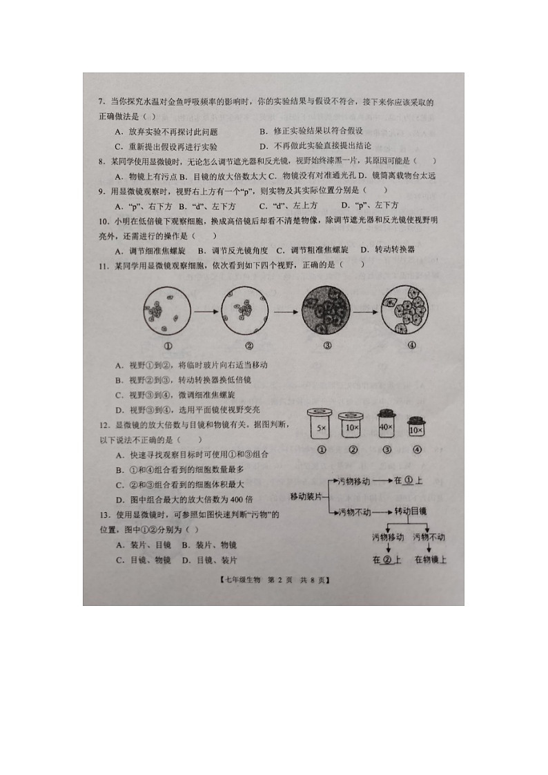 山东省德州市第五中学2024-2025学年七年级上学期期中考试生物试题02