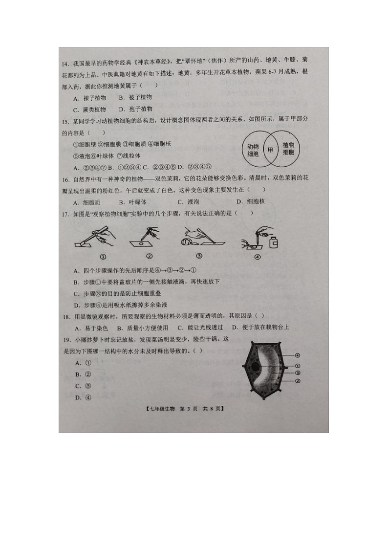 山东省德州市第五中学2024-2025学年七年级上学期期中考试生物试题03