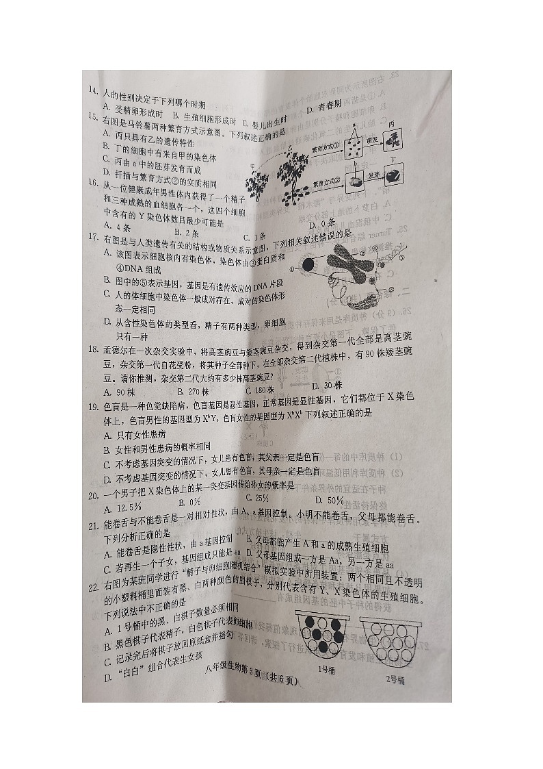 八生物第3页