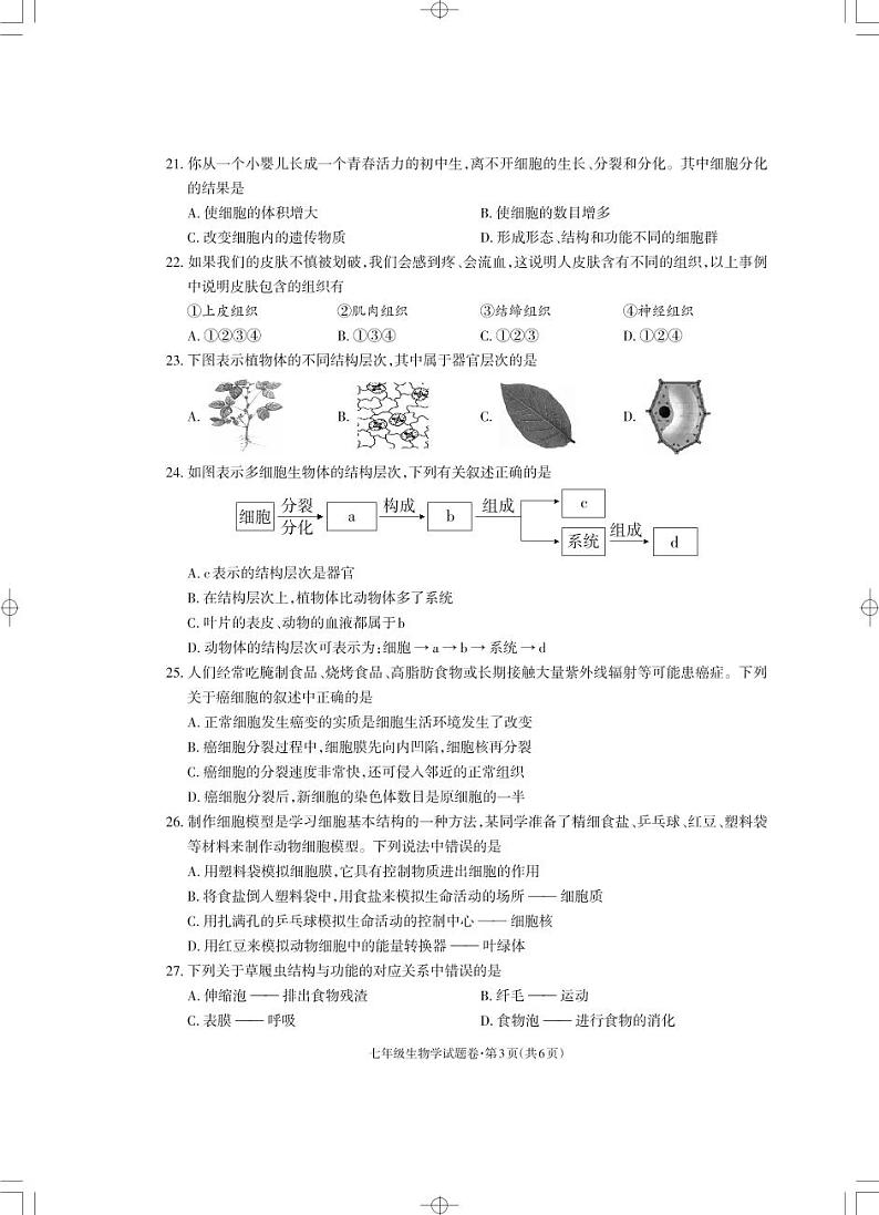 七年级生物_Print第3页