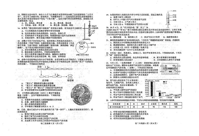 山东省烟台市芝罘区（五四制）2024-2025学年七年级上学期期中考试生物试题第2页