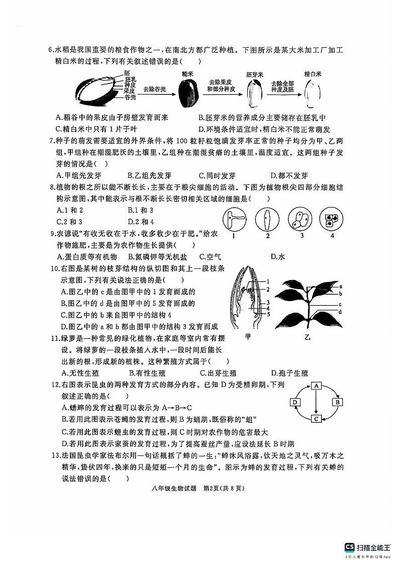 八年级生物第2页