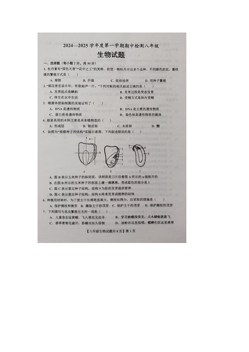 山东省德州市德城区2024-2025学年度第一学期期中考试8年级生物试题第1页