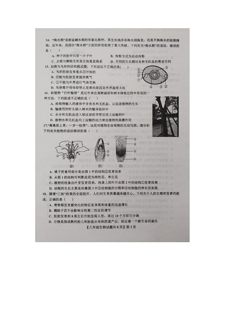 山东省德州市德城区2024-2025学年度第一学期期中考试8年级生物试题第3页