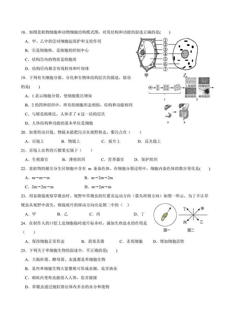 湘阴县岭北五校联考2024-2025学年上学期七年级生物期中调研第3页