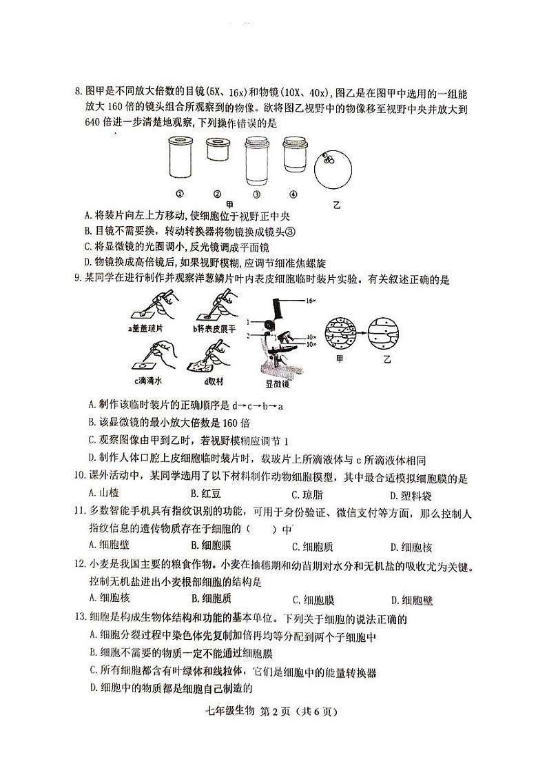 河北省唐山市丰南区2024-2025学年七年级上学期11月期中测试生物试题02