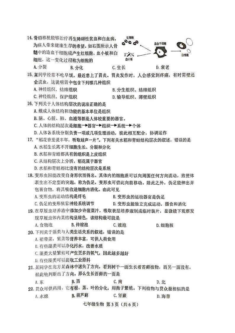 河北省唐山市丰南区2024-2025学年七年级上学期11月期中测试生物试题03