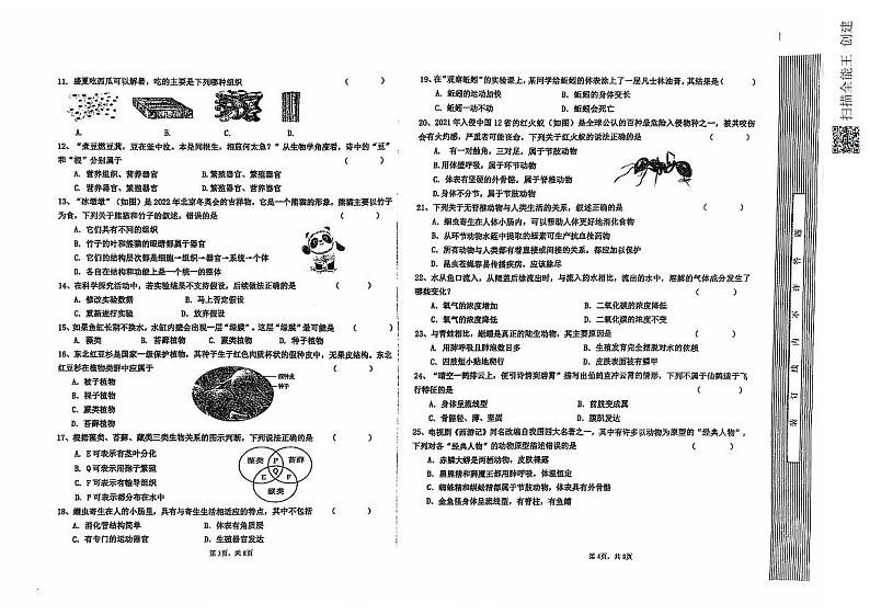 河北省承德市兴隆县2024-2025学年七年级上学期期中考试生物试题第2页