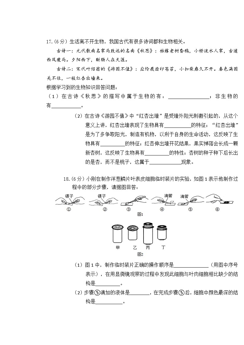 七年级生物第3页