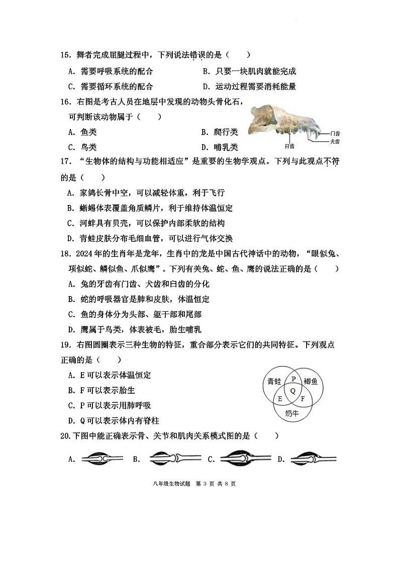 福建省宁德市霞浦县2024-2025学年八年级上学期期中考试生物试卷03