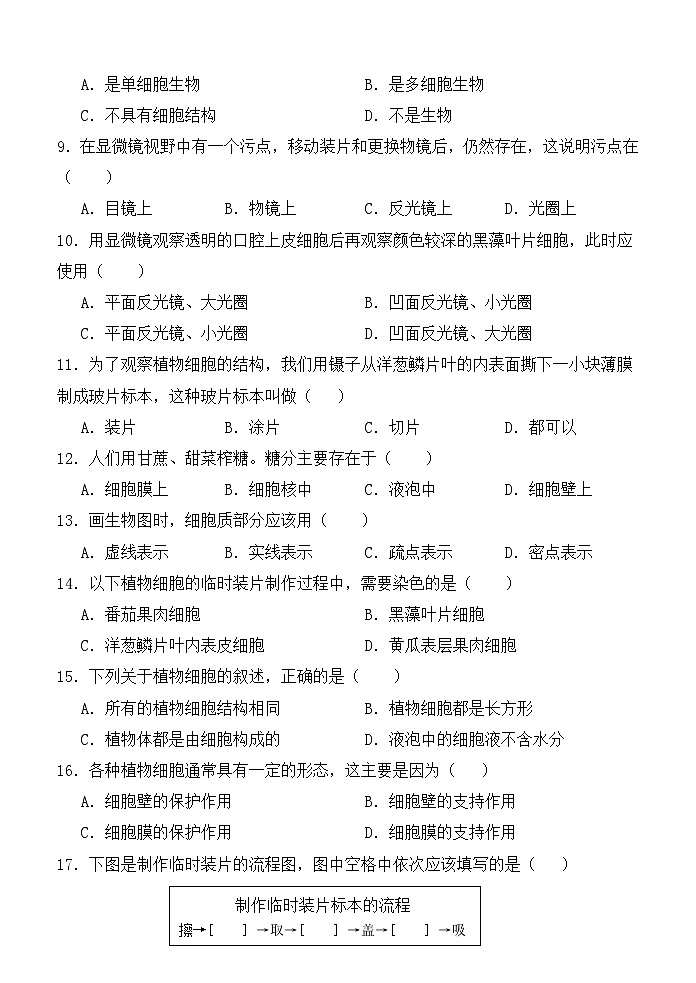 2024-2025上七年级期中试卷第2页