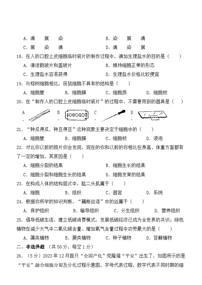 2024-2025上七年级期中试卷第3页