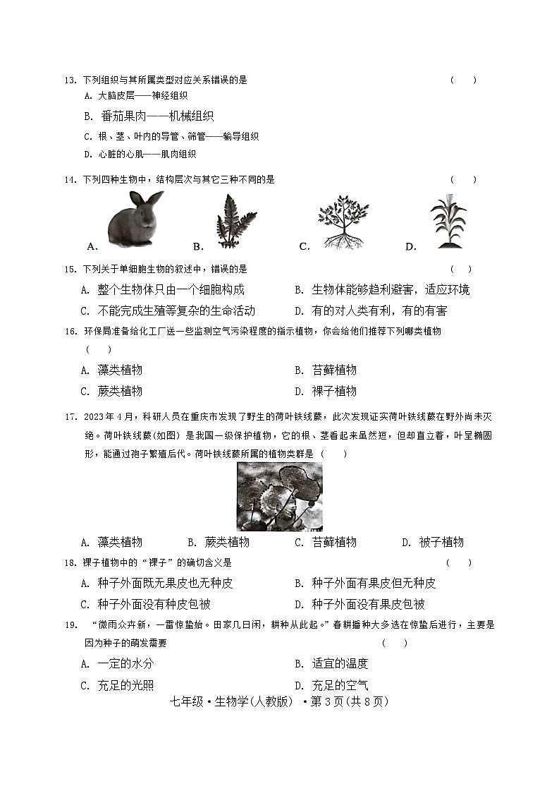 云南省昆明市官渡区第一中学2024-2025学年七年级上学期期中生物试题03