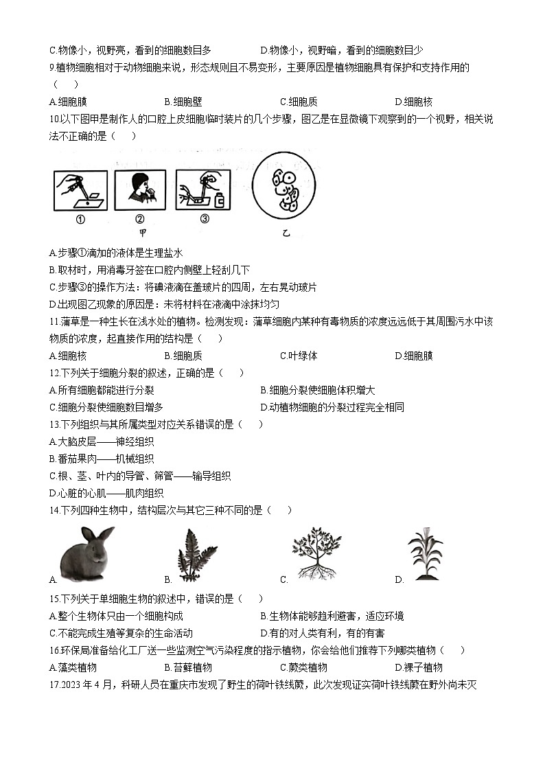 云南省昆明市官渡区第一中学2024-2025学年七年级上学期期中生物试题02