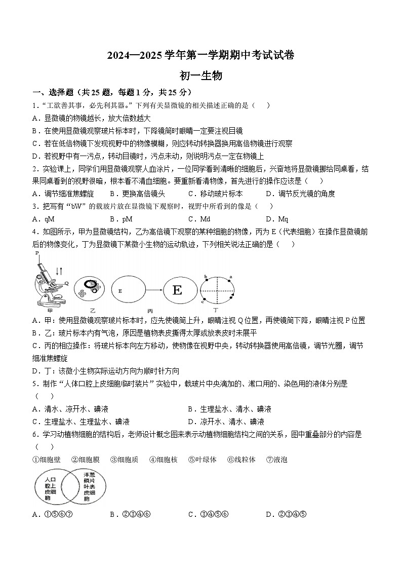 河北省石家庄市裕华区石家庄市第四十中学2024-2025学年七年级上学期期中生物试题01