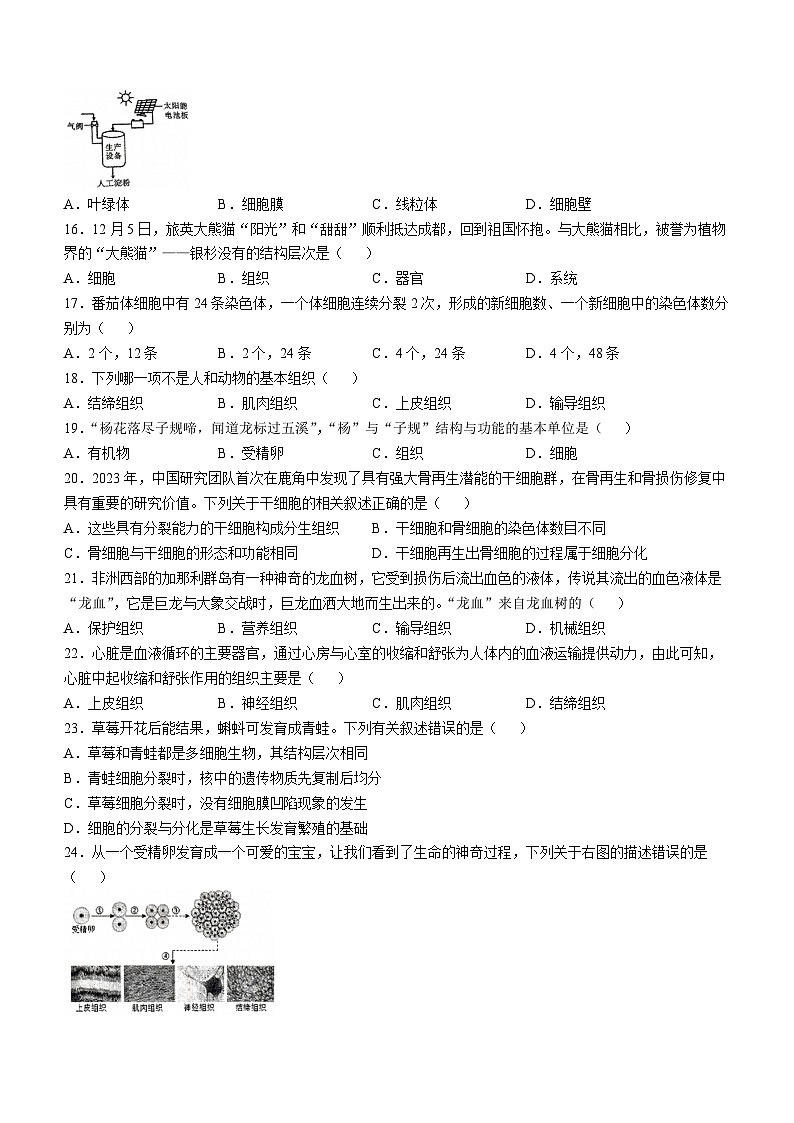 河北省石家庄市裕华区石家庄市第四十中学2024-2025学年七年级上学期期中生物试题03