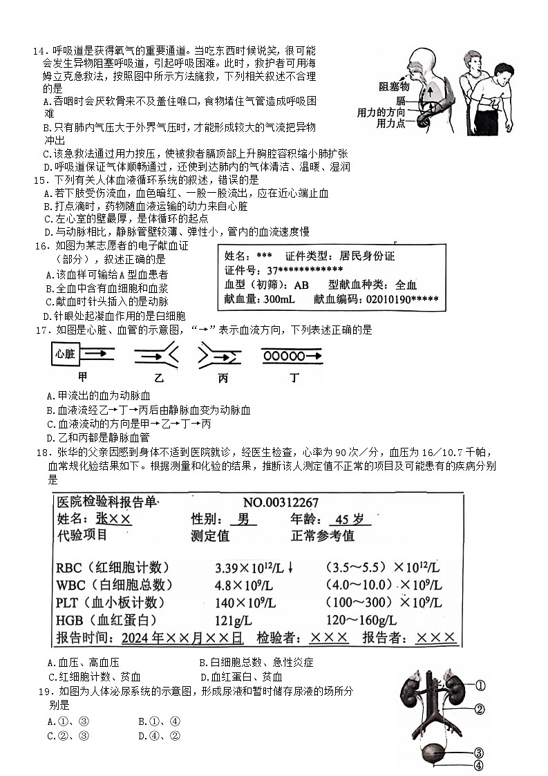 山东省菏泽市东明县2024-2025学年九年级上学期期中测试生物学试题第3页