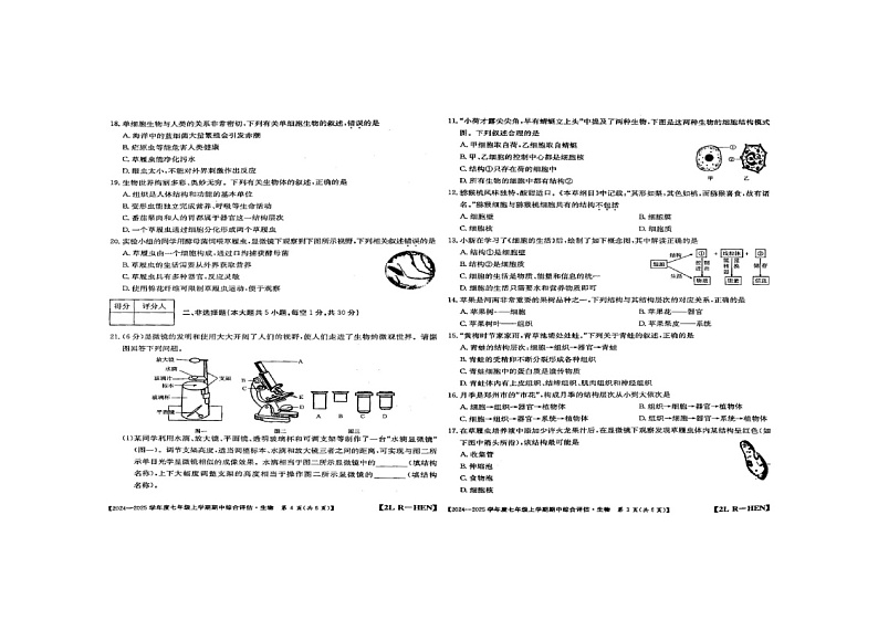 河南省周口市商水县2024-2025学年七年级上学期11月期中生物试题第2页
