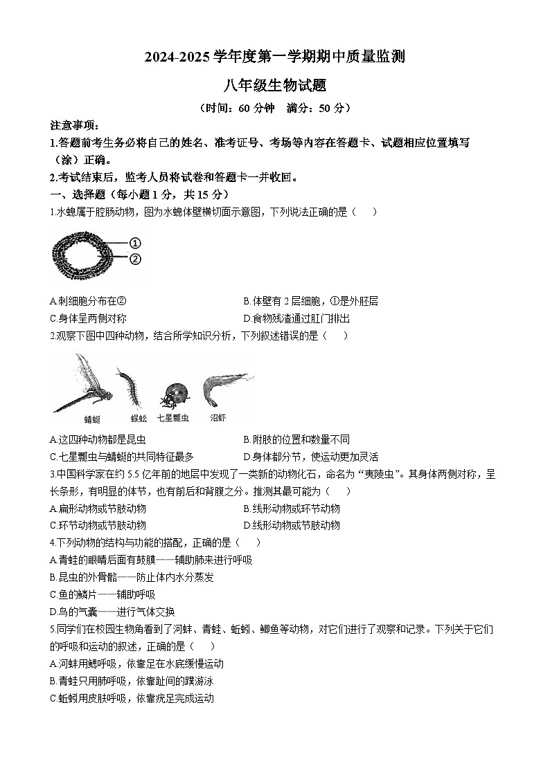 山东省泰安市宁阳县2024-2025学年八年级上学期期中生物试题(无答案)第1页