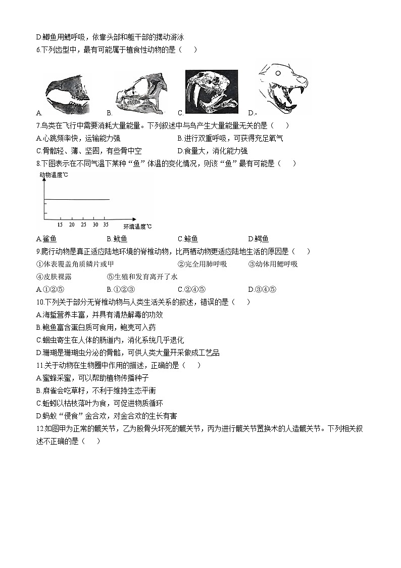 山东省泰安市宁阳县2024-2025学年八年级上学期期中生物试题(无答案)第2页