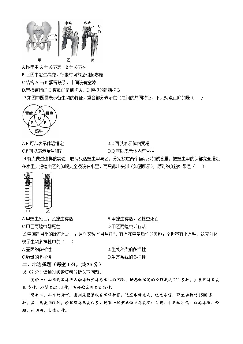 山东省泰安市宁阳县2024-2025学年八年级上学期期中生物试题(无答案)第3页