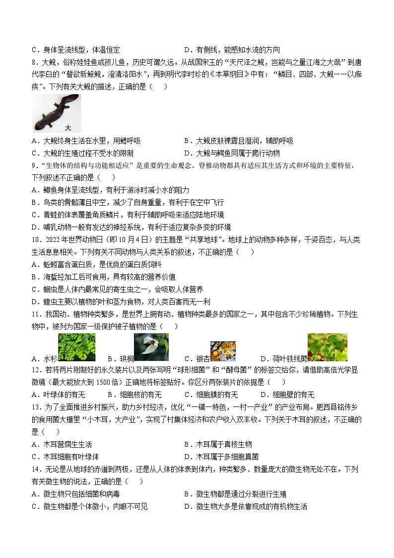安徽省合肥市包河区2024-2025学年八年级上学期期中生物试题第2页