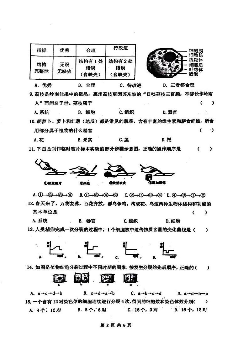 黑龙江省哈尔滨市四十七中学2024-2025学年七年级上学期10月月考生物试题02