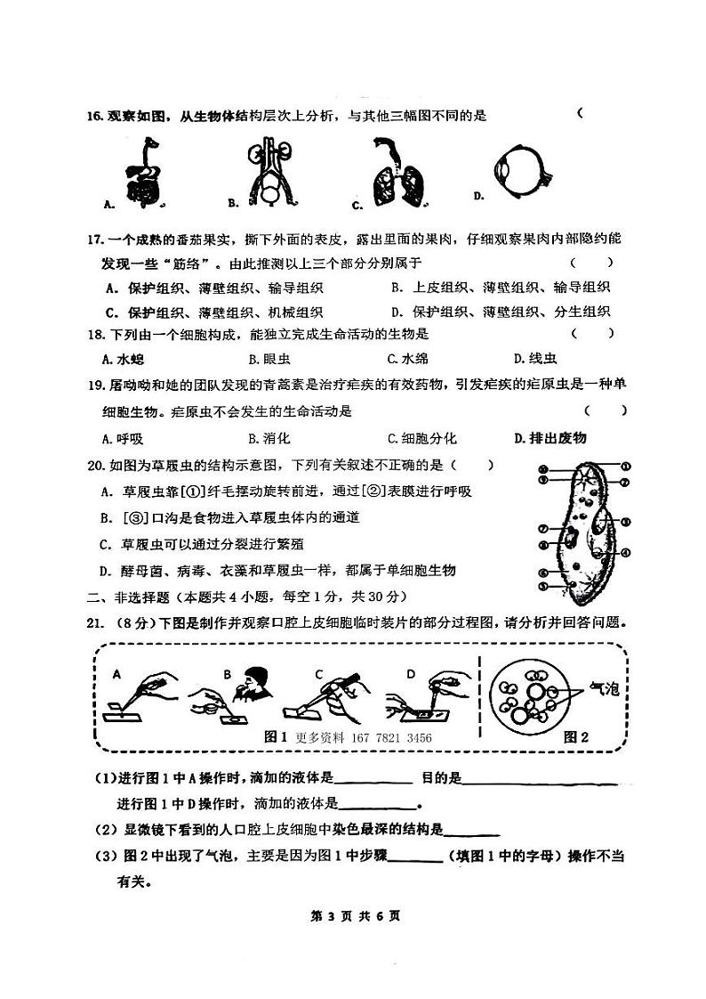 黑龙江省哈尔滨市四十七中学2024-2025学年七年级上学期10月月考生物试题03