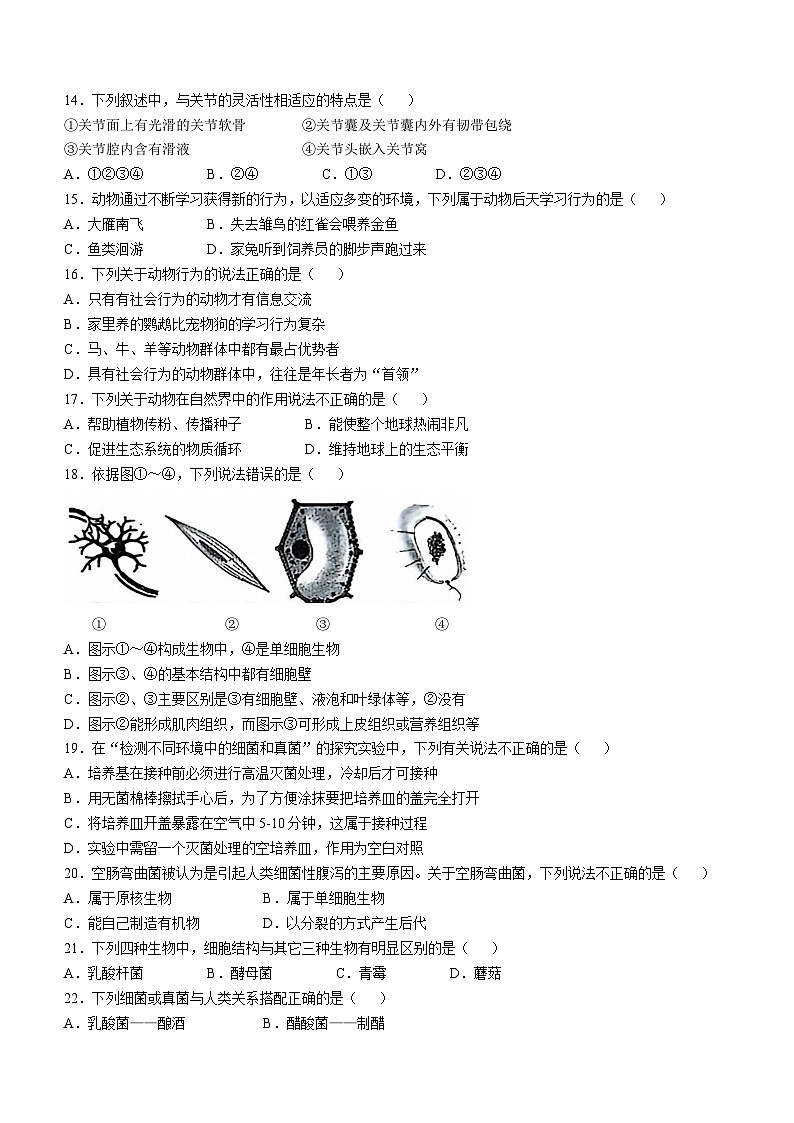 河北省石家庄市平山中学2024-2025学年八年级上学期期中生物试题第2页