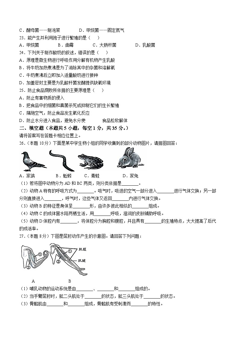 河北省石家庄市平山中学2024-2025学年八年级上学期期中生物试题第3页