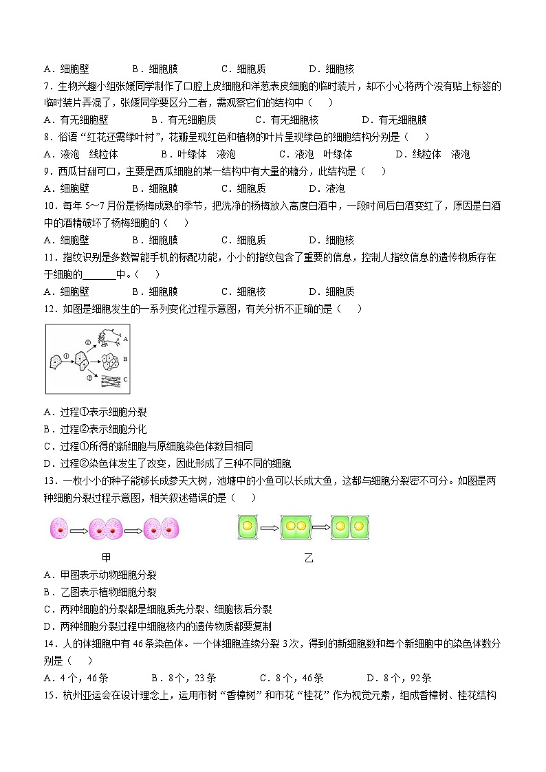湖南省长沙市一中集团2024-2025学年七年级上学期期中生物试题02