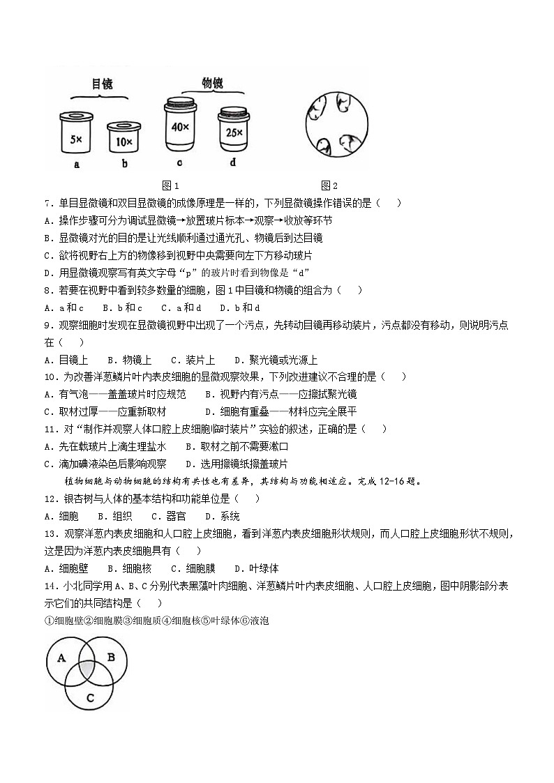 北京市第四中学2024-2025学年七年级上学期期中生物试题02