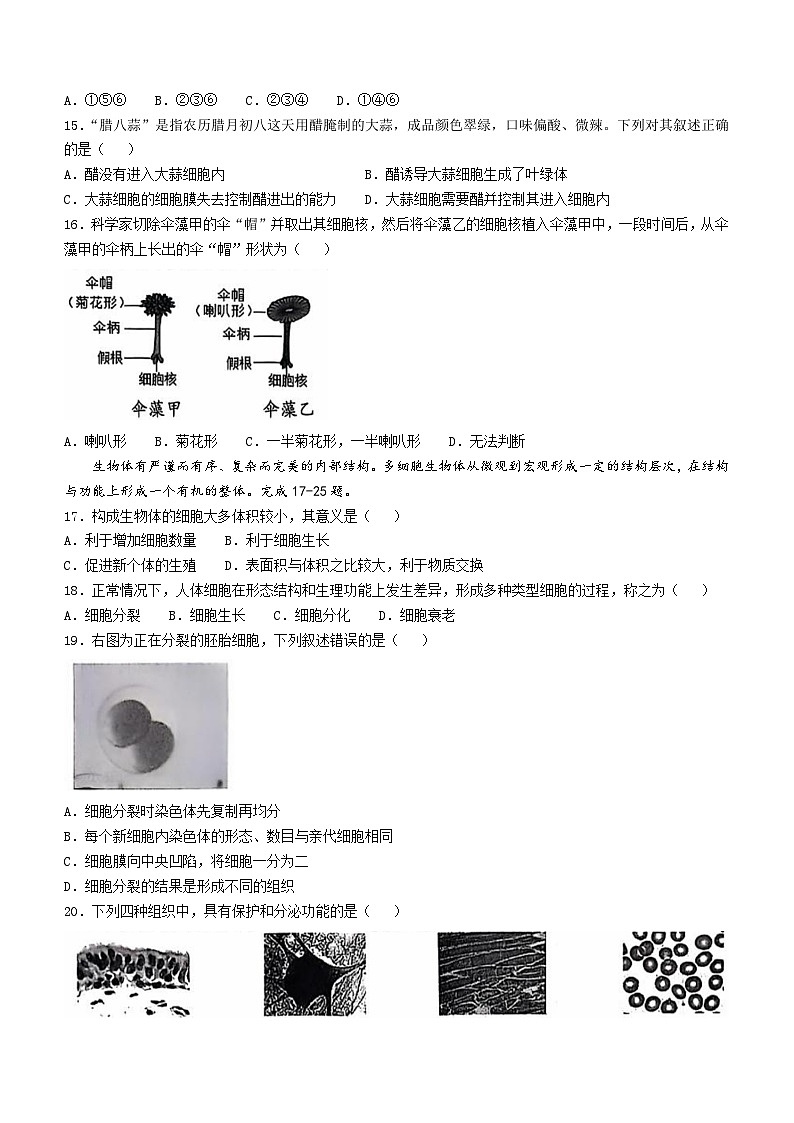 北京市第四中学2024-2025学年七年级上学期期中生物试题03