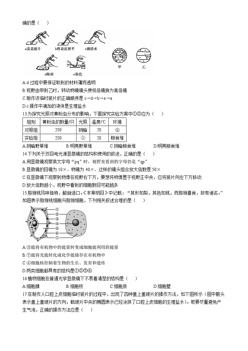 安徽省宣城市2024-2025学年七年级上学期期中生物试题02