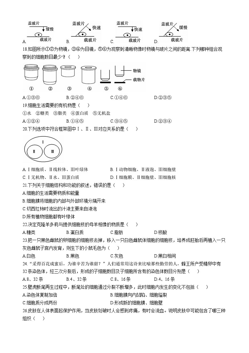 安徽省宣城市2024-2025学年七年级上学期期中生物试题03