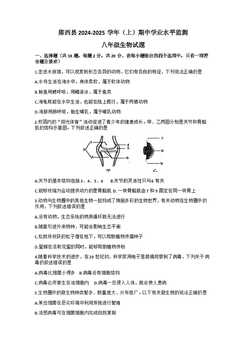 湖北省十堰市郧西县2024-2025学年八年级上学期11月期中考试生物试题01