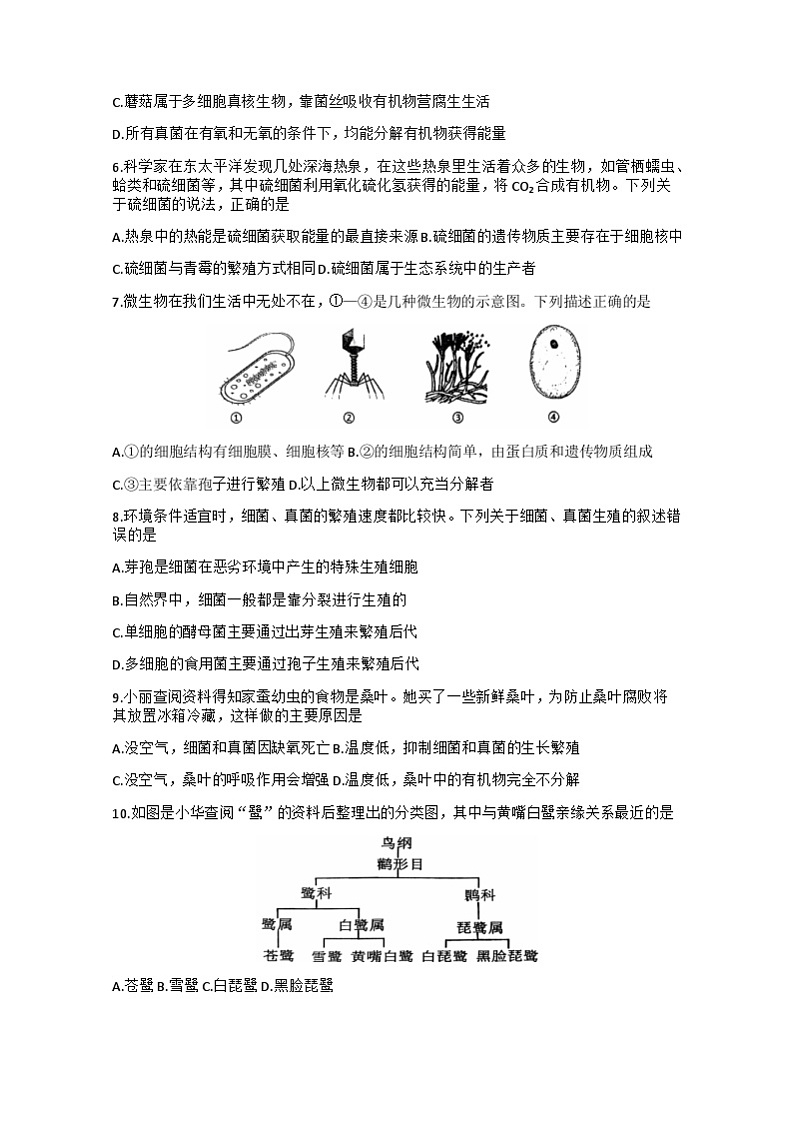 湖北省十堰市郧西县2024-2025学年八年级上学期11月期中考试生物试题02