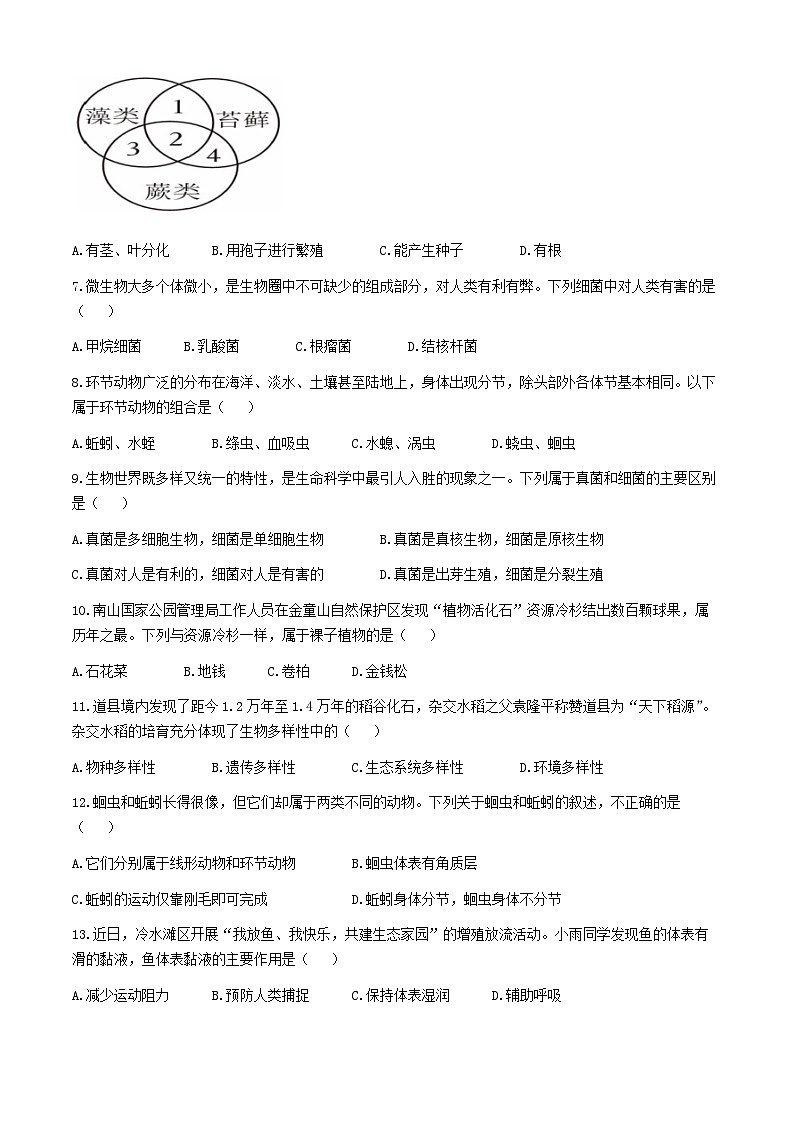 湖南省永州市道县2024-2025学年八年级上学期期中生物试题第2页